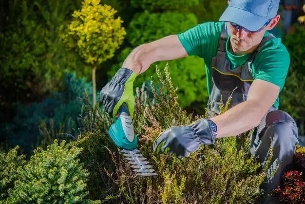 landscaping services Gillis